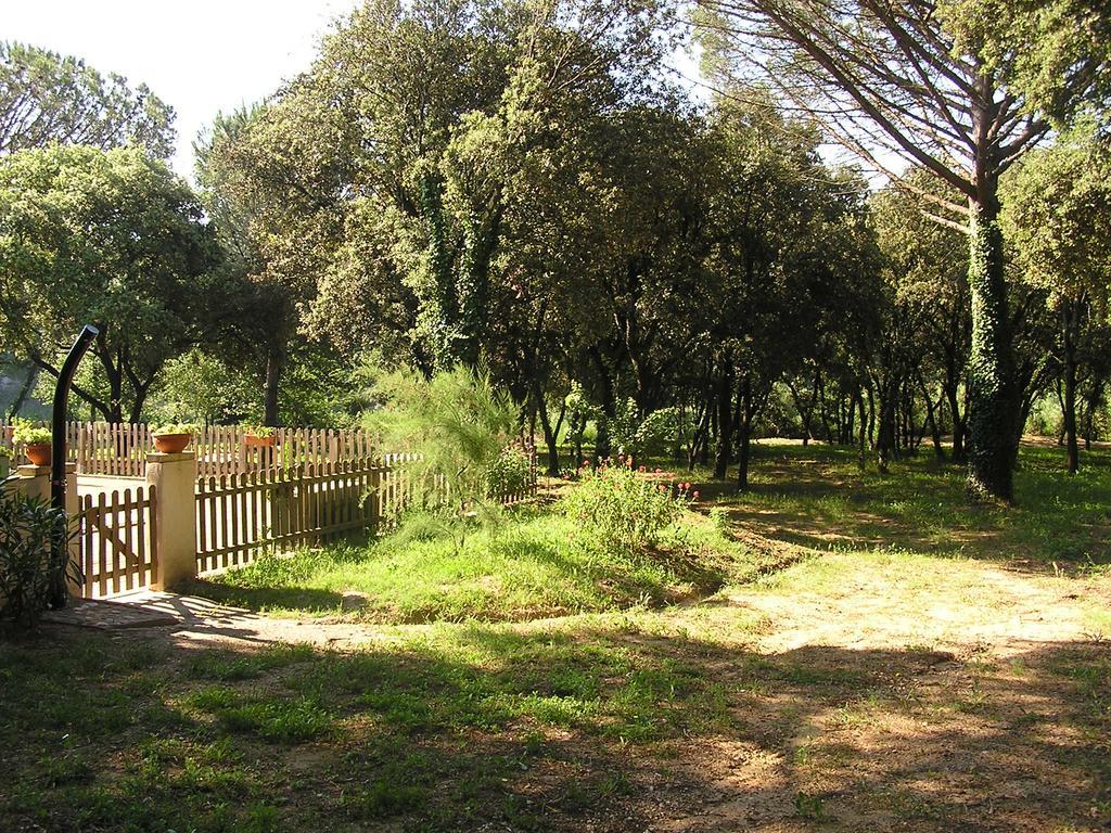 Le Mazet Des Cigales Villa Vers-Pont-du-Gard Eksteriør billede